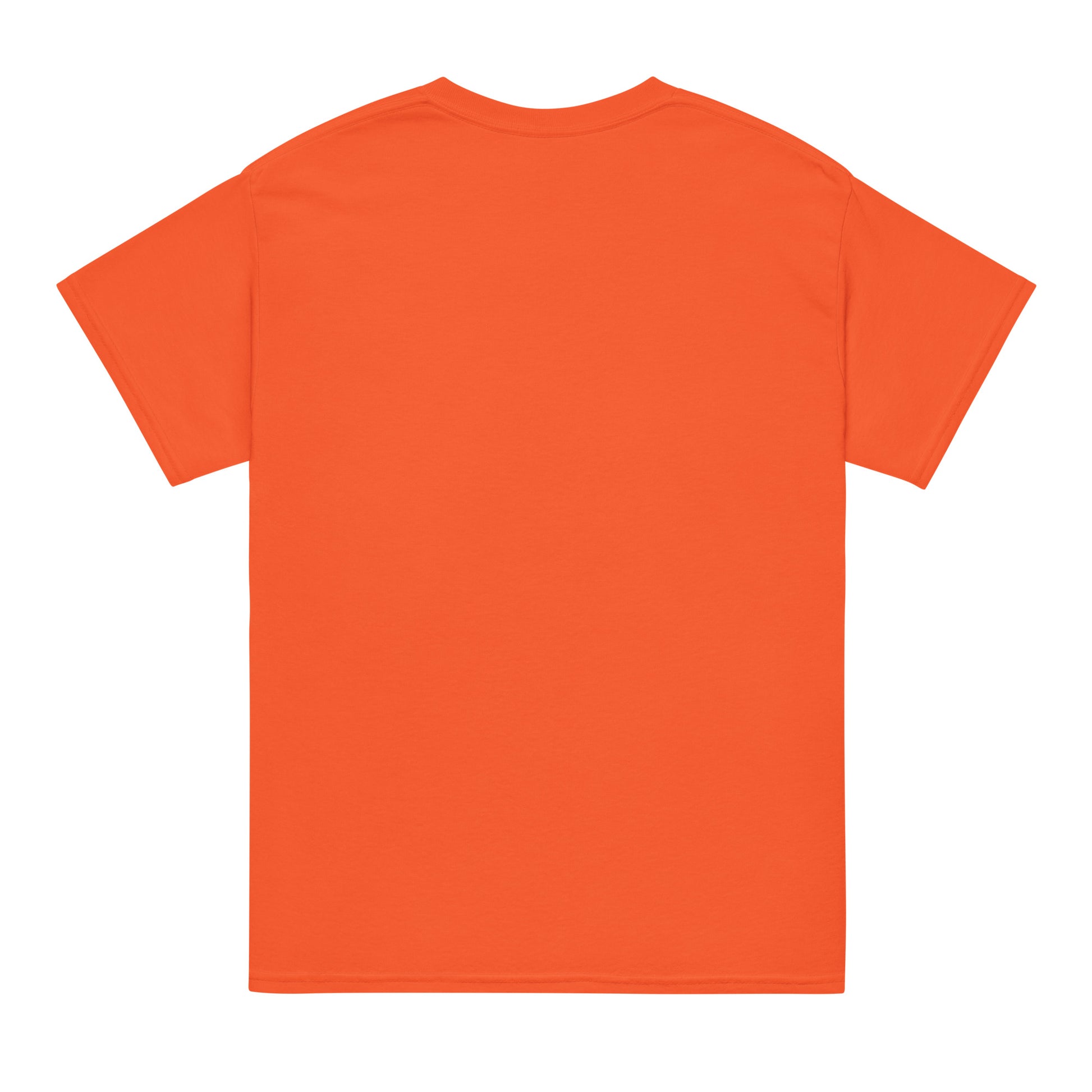 Aloha Wahine Hawai'i - DryBlend® T-Shirt T-shirt Pa'akai & Kukui