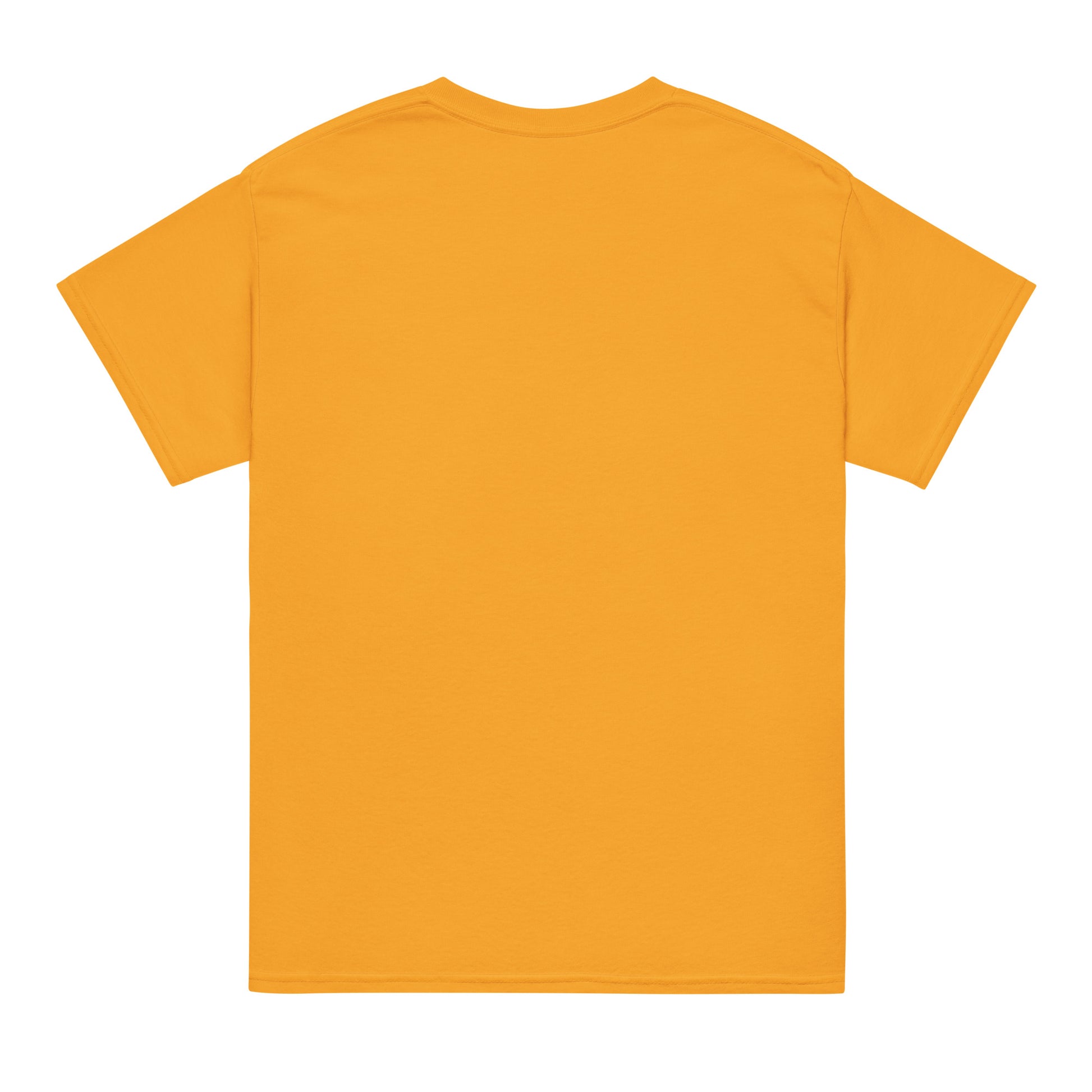 Aloha Wahine Hawai'i - DryBlend® T-Shirt T-shirt Pa'akai & Kukui